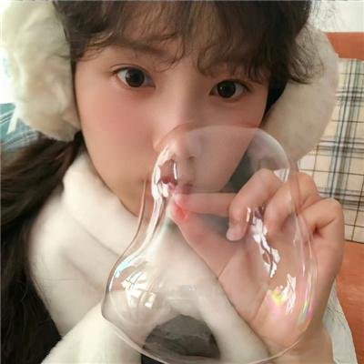 忧伤大象之歌