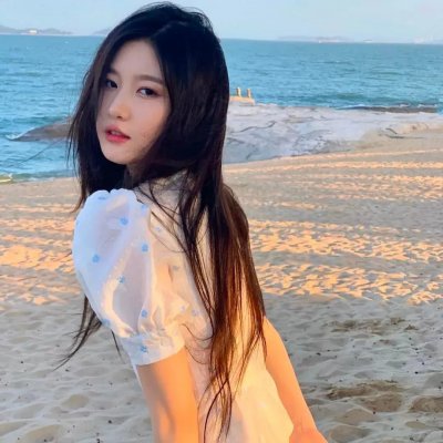 帝王蝶之子